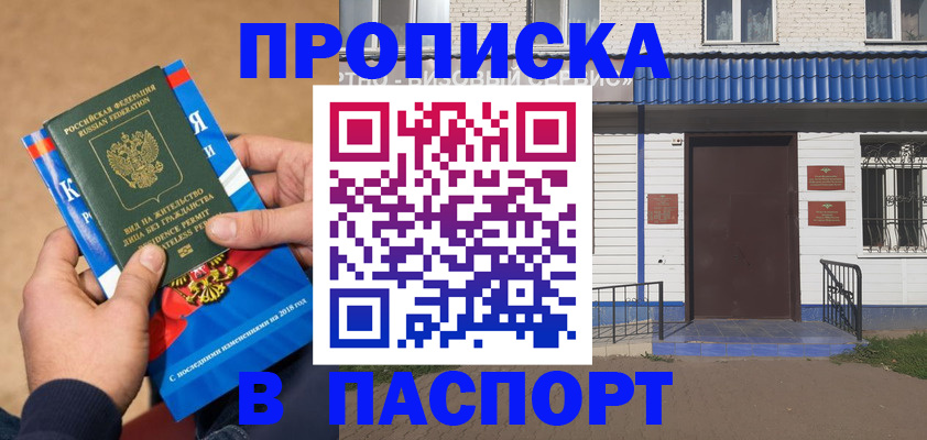 временная регистрация госуслуги в Никольском